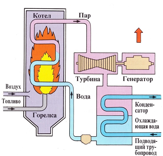 Особенности теплоэнергетики, устройство и принцип работы тепловых электростанций