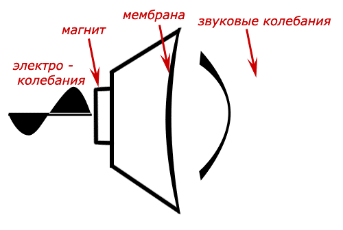 Динамик устройство и принцип работы. Схема устройства динамического громкоговорителя/динамика.. Принцип работы динамиков и громкоговорителей. Принцип работы колонок.